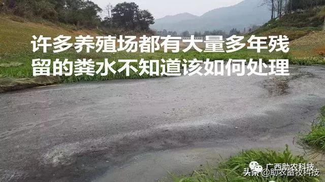 西和养殖污水处理技术_养殖污水处理一体设备_养殖污水利用