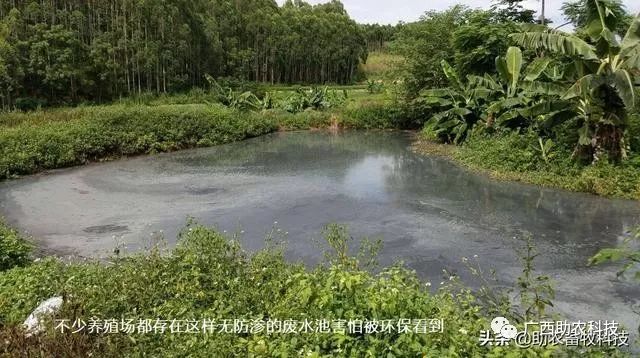 西和养殖污水处理技术_养殖污水处理一体设备_养殖污水利用