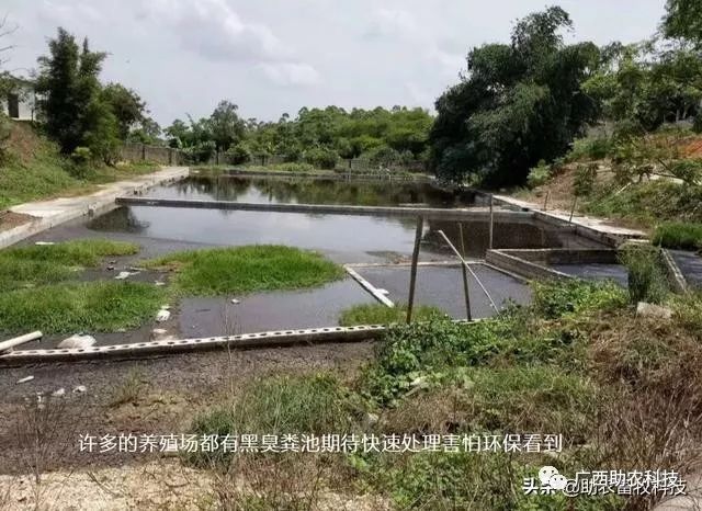 西和养殖污水处理技术_养殖污水利用_养殖污水处理一体设备