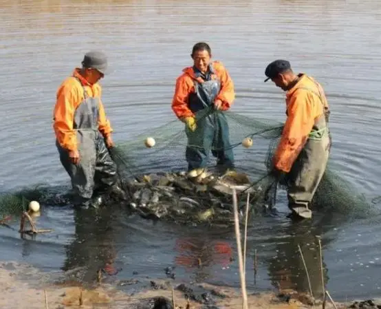 核污水几天到湖北_湖北省污水处理厂管理办法_湖北省污水综合排放标准