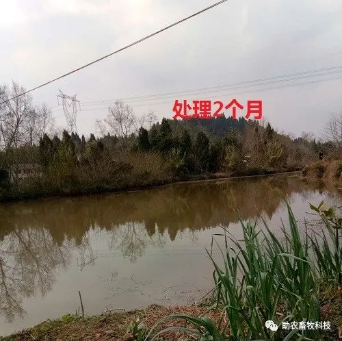 养殖污水处理工艺流程_养殖污水处理厂的工艺流程_西和养殖污水处理技术