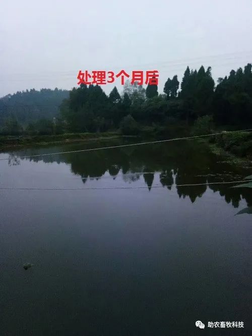 养殖污水处理工艺流程_养殖污水处理厂的工艺流程_西和养殖污水处理技术