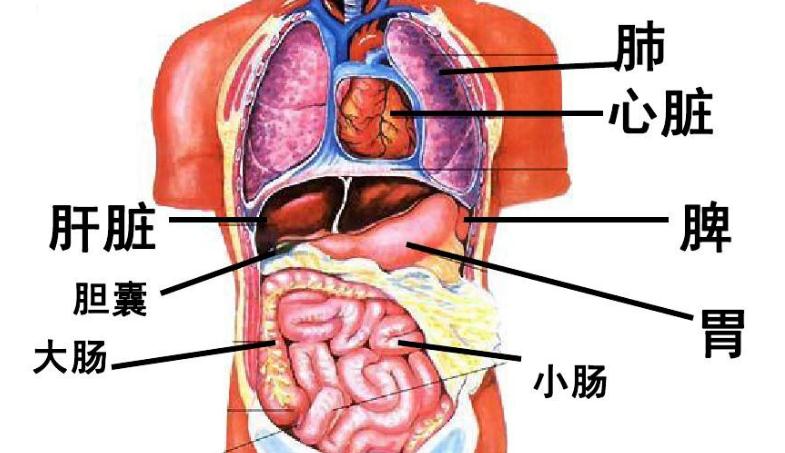 喝下核废料_男人喝了核废料后果_喝核废料有超能力什么电影名字