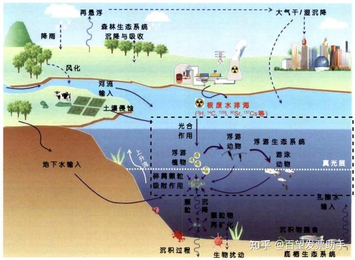 核污水看法_核污水漠视生命_核污染污水