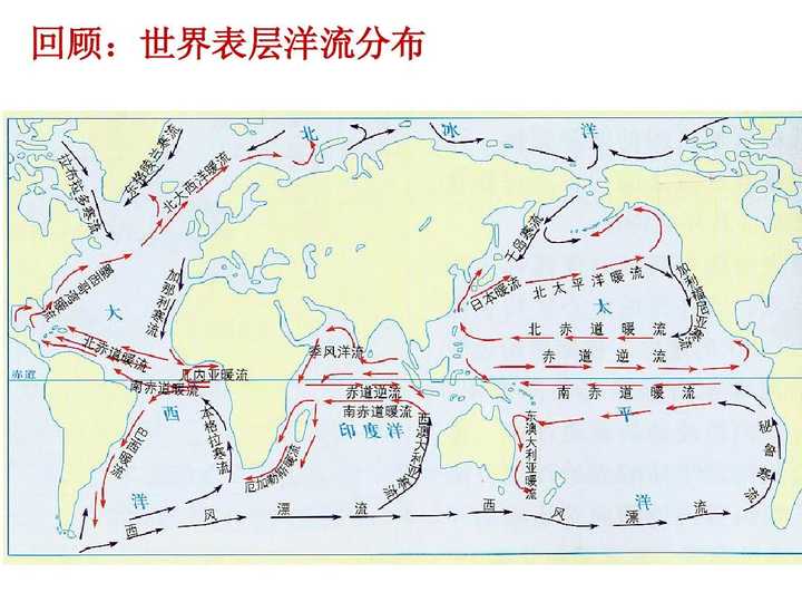 未来吃掉核废料的鱼_吃了核废料的鲸鱼_核废料吃一口