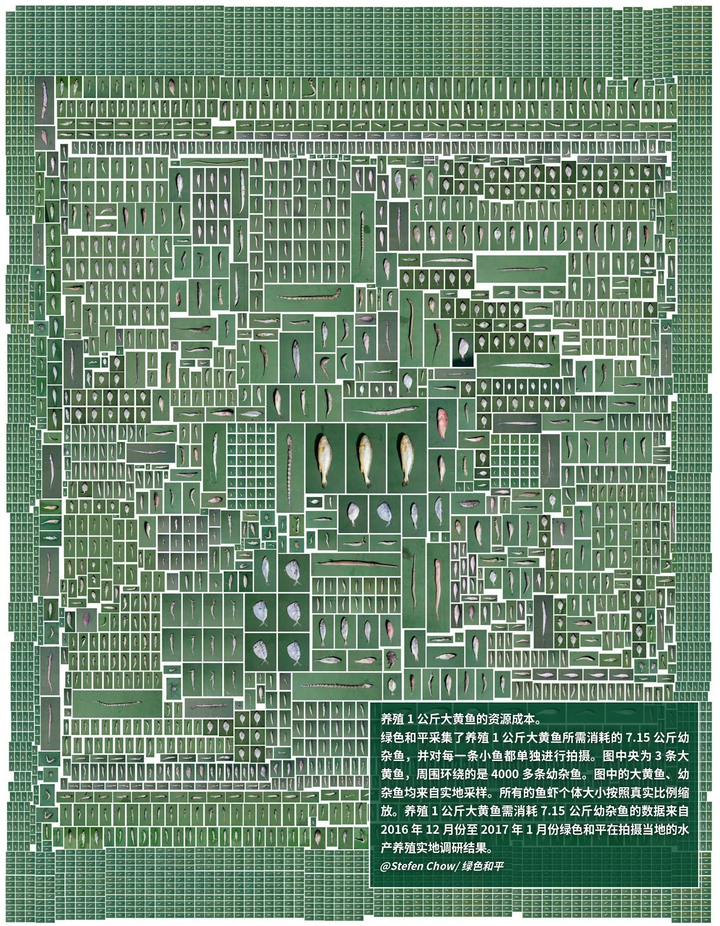 核废料吃一口_未来吃掉核废料的鱼_吃了核废料的鲸鱼