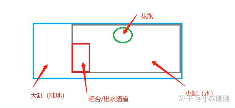 乌龟生态环境模拟_乌龟生态环境_乌龟生态环境造景