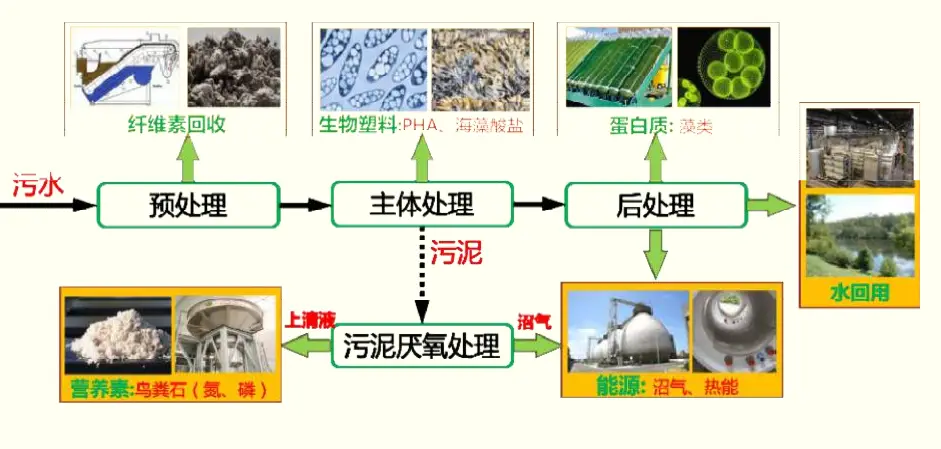 废水中磷的处理_污水磷回收_磷在污水处理中的作用