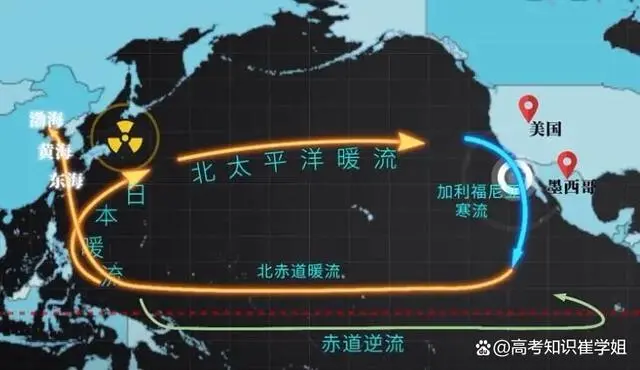 论述日本排放核污水_日本排放核污水案例分析_评述日本排放核污水