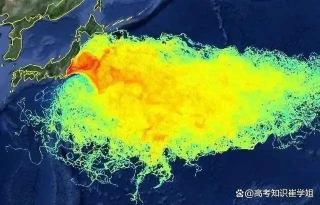 评述日本排放核污水_论述日本排放核污水_日本排放核污水案例分析