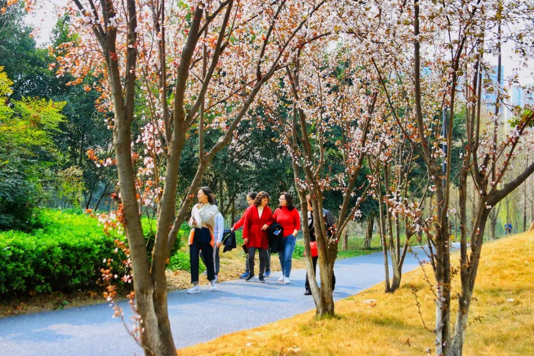 成华区环境_成华区环保局班子成员_成都市成华区环境保护局