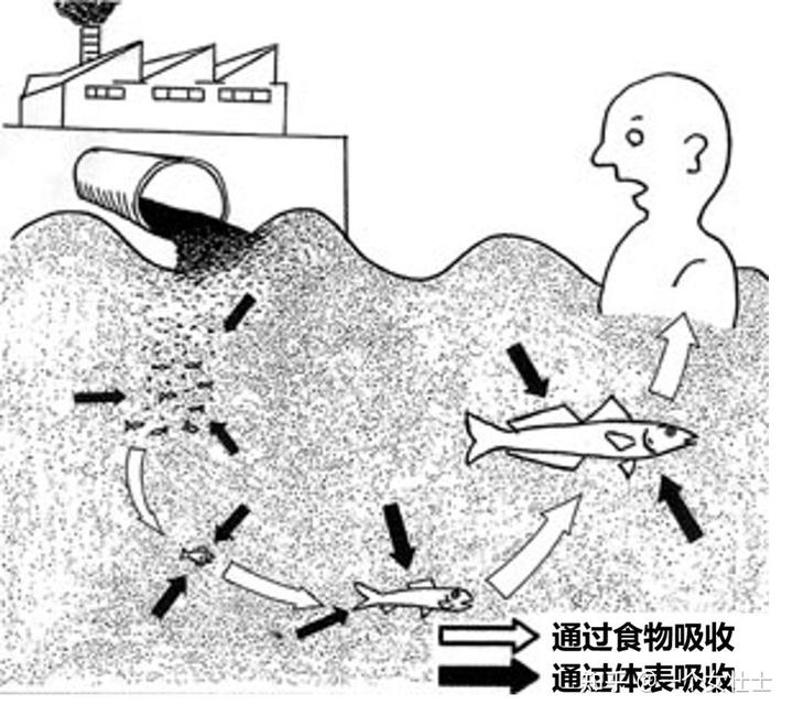 日核污水入海影响_日本核污水入海流向_日本核污水入海欧美