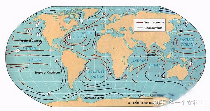 日核污水入海影响_日本核污水入海流向_日本核污水入海欧美