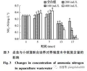 小球藻处理污水_污水处理小球藻的作用_污水处理小球藻的方法