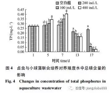 小球藻处理污水_污水处理小球藻的作用_污水处理小球藻的方法