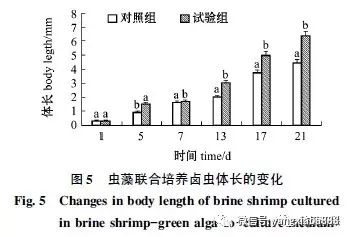 污水处理小球藻的作用_小球藻处理污水_污水处理小球藻的方法