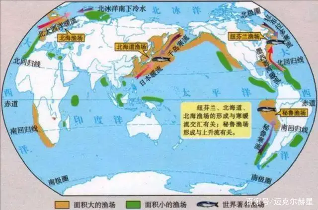 日本排放核污水能不能过滤_日本核废水过滤_曰本排放核污水