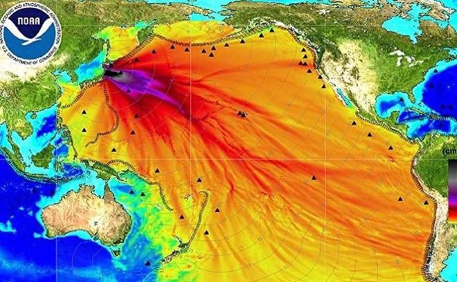 日本核污水鳗鱼商家_日本核污水入海鱼还能吃吗_日本核污水鱼还能吃吗