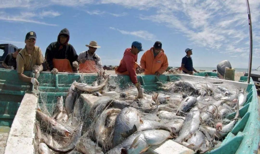 福岛核污水排入大海后的影响_核污水是什么样子的_核污水标记