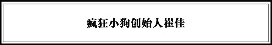 宠物公司的行为准则是啥_宠物行业相关法律法规_宠物行业规范化标准化