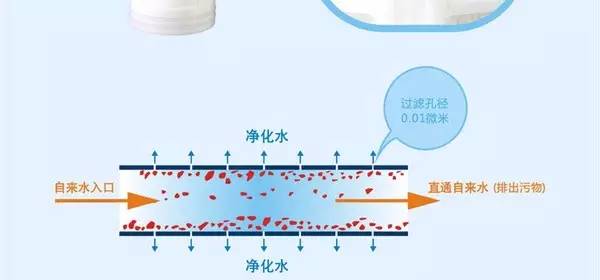 污水处理膜过滤_污水净化膜丝_污水过滤膜