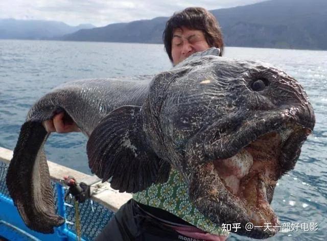 阻止污水排放_污水能过滤成饮用水吗_核污水能阻隔吗