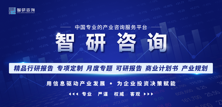 动态方案国际分析公司有哪些_国际公司动态分析方案_动态分析测试