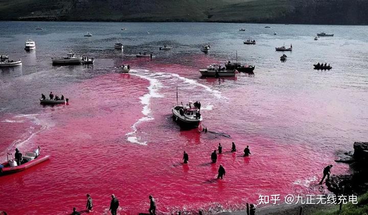 日本排放核污水影响漫展_核污染水日本排放_地理日本排放核污水的危害