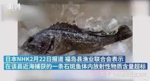 核污水导致孩子畸形_水污染会造成部分生物畸形变异_核污染畸形人