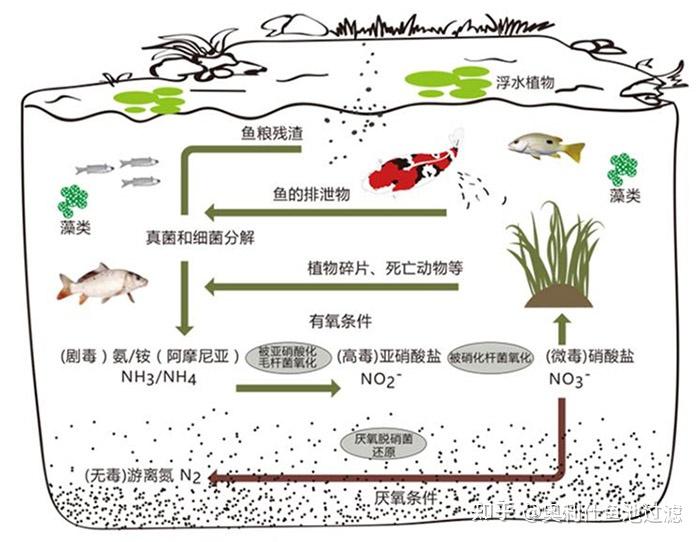 污水池过滤_污水过滤池结构图_污水过滤池做法