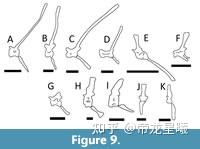 棘龙复原_棘龙捕食_棘龙吃核废料