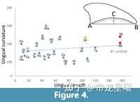 棘龙捕食_棘龙吃核废料_棘龙复原