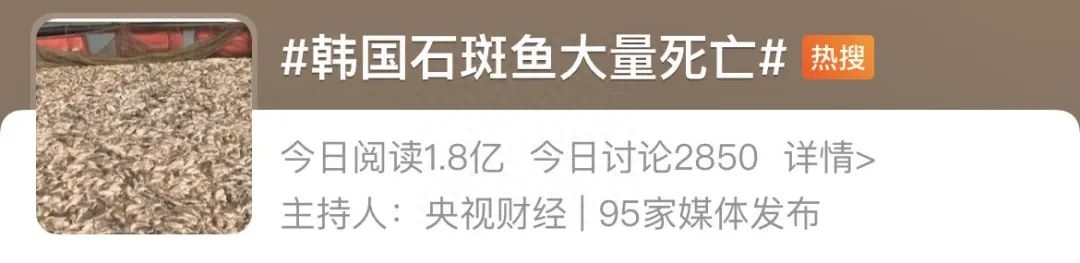 日本核污水养鱼_日本核污水死鱼事件_日本核污水鱼还能吃吗