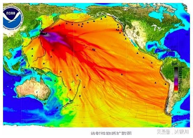 日本核污水养鱼_日本排放核污水鱼变异_日本核污水死鱼事件