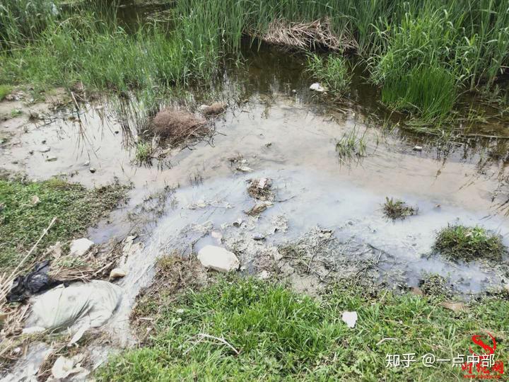 污水厂浐河_污水工厂_河道污水处理厂