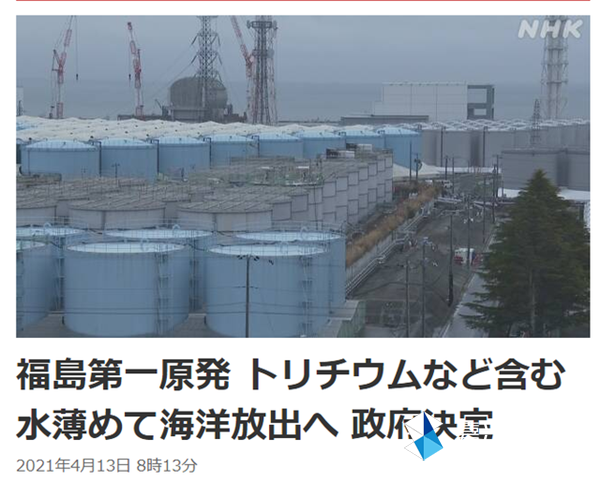 日本核污水排放后的海豹_日本大叔讲核废水排海危害_日本核污水排入海洋