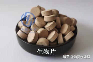 污泥菌种价格_污水菌种泥_污泥发酵菌种