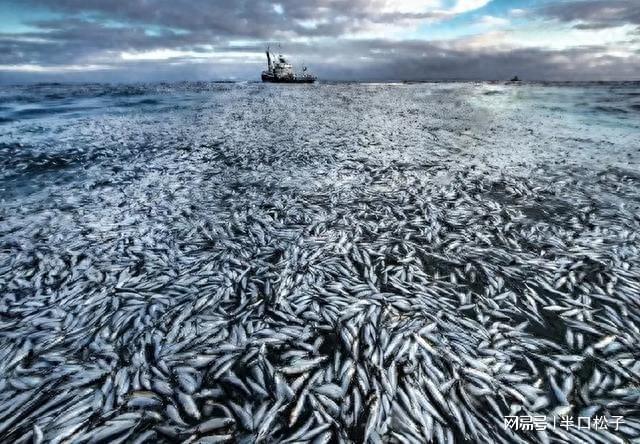 日本核污水共多少吨_日本核污水成份_日本核污水超标