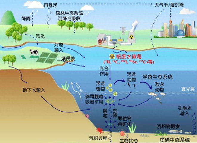 污水后果核排放持续多久_核污水持续排放后果_核污水排放的后果