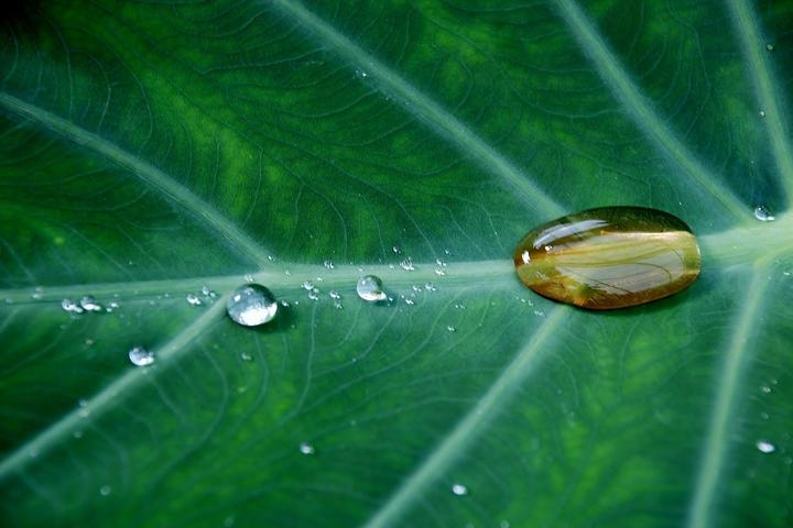 污水处理技术立项_污水立项处理技术有哪些_污水处理项目方案