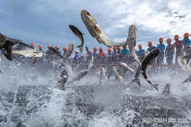 核污水多久降解氧气_氧气污水降解核素的作用_氧气对污水处理的作用