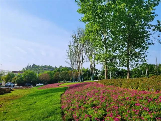 通污水管道多少钱一个_污水疏通管网的作用_污水管网疏通