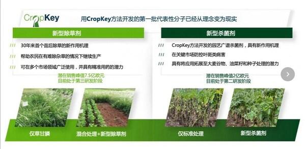 拜耳介绍_拜耳环境科学_拜耳科学作物