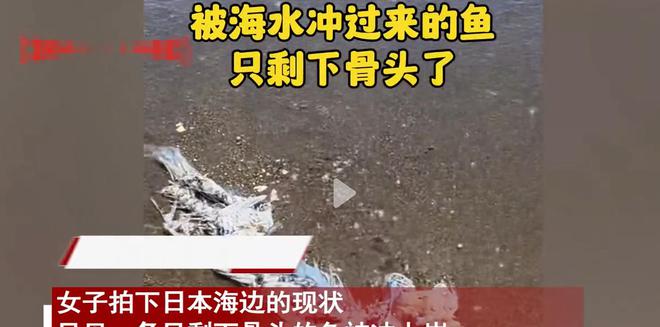 日本排放核污水官员死亡_日本排放核污水变异人_核废水日本官员