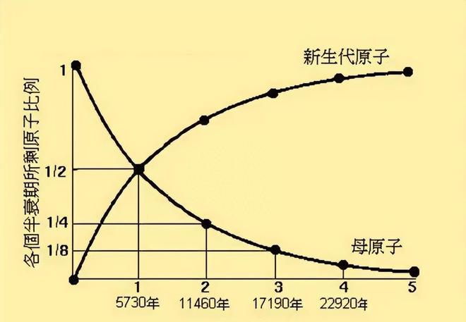 日本排放核污水变异人_核废水日本官员_日本排放核污水官员死亡