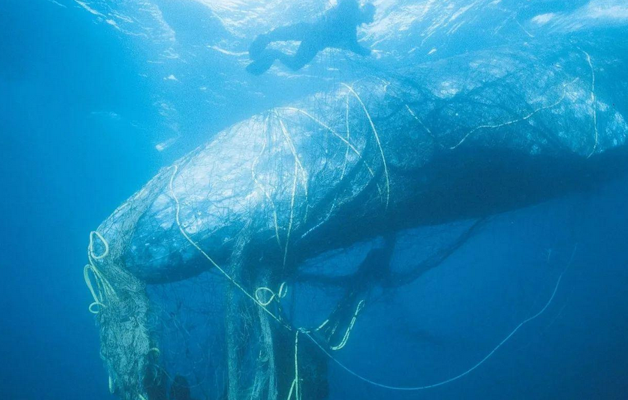 核污水埋地下_沉淀污水处理_核污水直接沉底