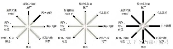 湿地污水吉林人工处理技术规程_吉林人工湿地污水处理技术_人工湿地处理城市污水