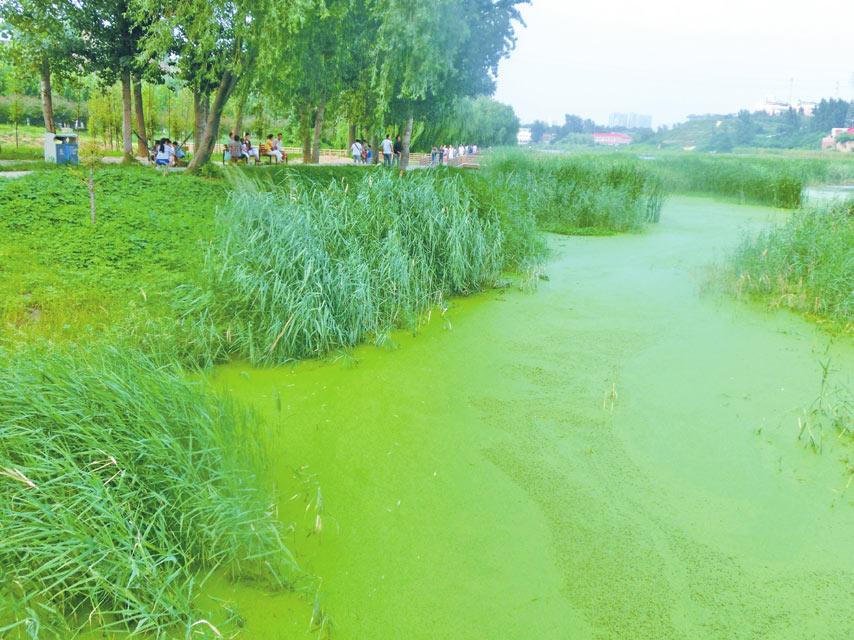 延安核污水_延安市污水处理厂招标_延安市污水处理厂提标改造项目