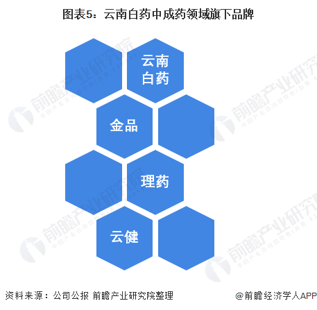 图表5：云南白药中成药领域旗下品牌