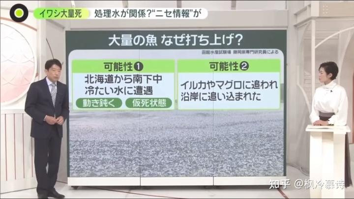 日本排放核污水的鱼_日本排放核污水虾还能吃吗_日本排放核污水鱼虾可以去吗